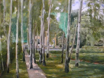 Birch Path